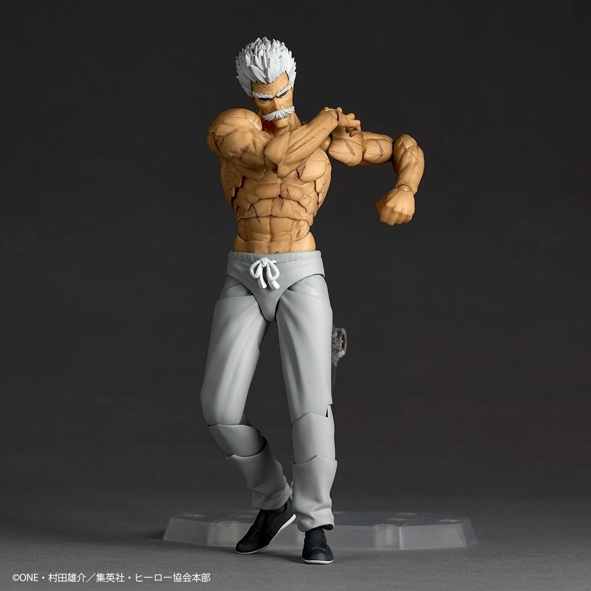 Revoltech: Silver Fang - One Punch Man Con Bonus