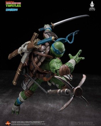 Teenage Mutant Ninja Turtles: Leonardo - DX Action Figure