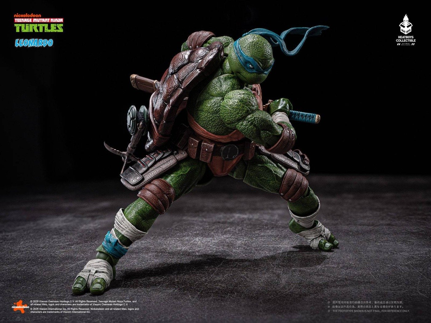 Teenage Mutant Ninja Turtles: Leonardo - DX Action Figure