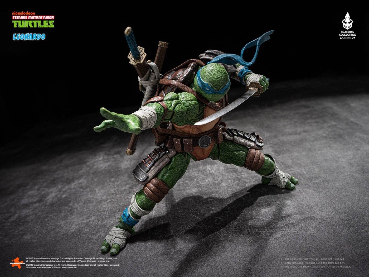 Teenage Mutant Ninja Turtles: Leonardo - DX Action Figure