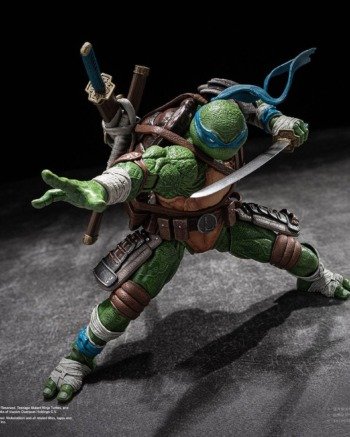 Teenage Mutant Ninja Turtles: Leonardo - DX Action Figure