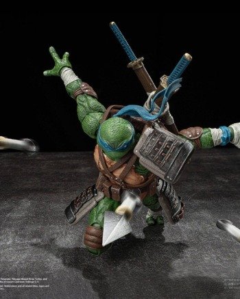 Teenage Mutant Ninja Turtles: Leonardo - DX Action Figure