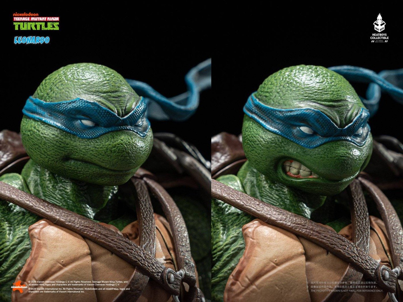 Teenage Mutant Ninja Turtles: Leonardo - DX Action Figure