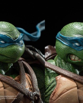 Teenage Mutant Ninja Turtles: Leonardo - DX Action Figure