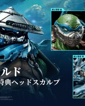 Teenage Mutant Ninja Turtles: Leonardo - DX Action Figure