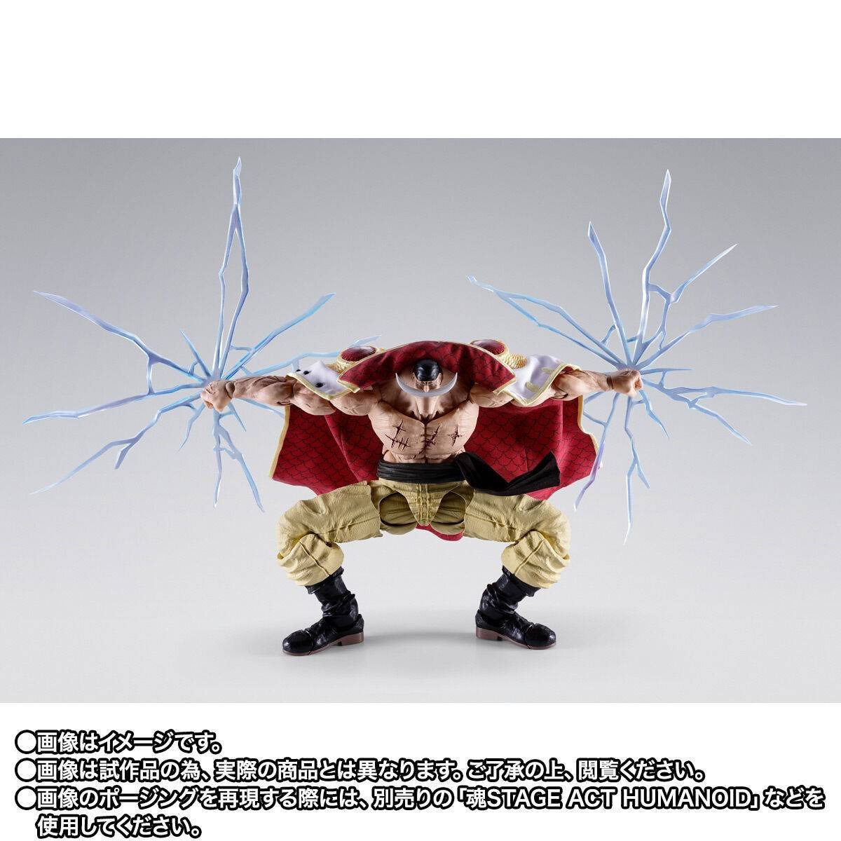 S.H.FIGUARTS: Edward Newgate (Whitebeard) - Summit War of Marineford - One Piece